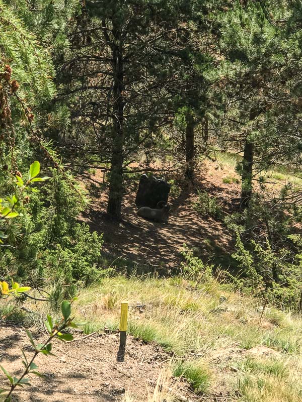 instarch 180830 3024 x 4032 53-bogenschiessen