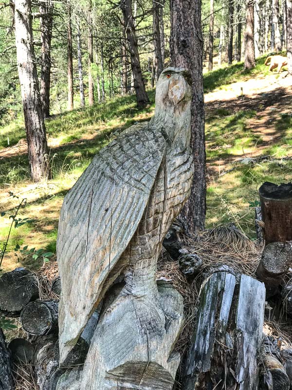 instarch 180830 3024 x 4032 61-bogenschiessen