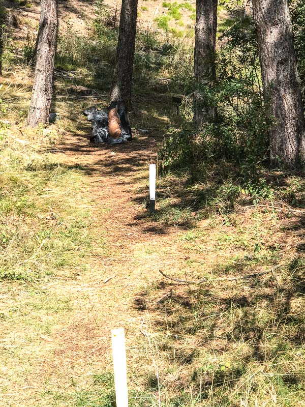 instarch 180830 3024 x 4032 65-bogenschiessen