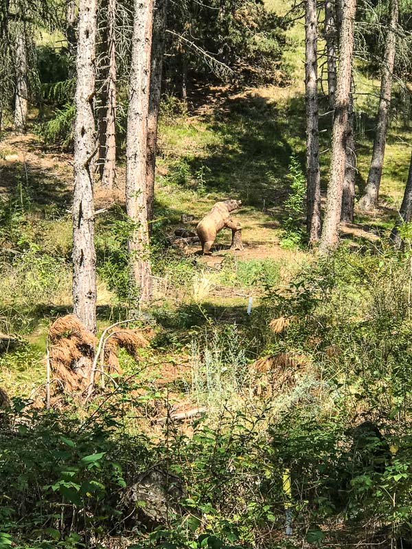 instarch 180830 3024 x 4032 69-bogenschiessen