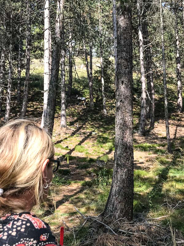 instarch 180830 3024 x 4032 72-bogenschiessen