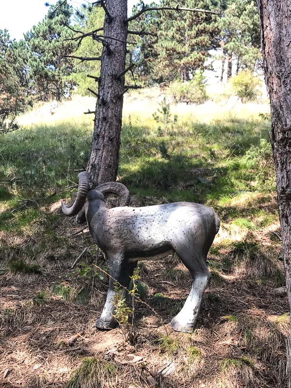 instarch 180830 3024 x 4032 73-bogenschiessen