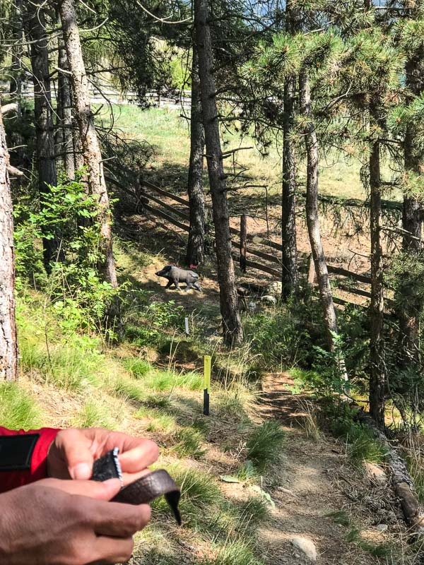 instarch 180830 3024 x 4032 74-bogenschiessen