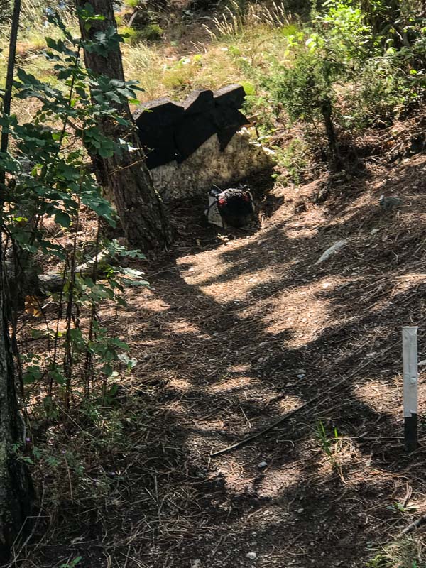 instarch 180830 3024 x 4032 75-bogenschiessen