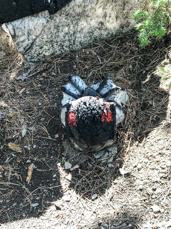 instarch 180830 3024 x 4032 76-bogenschiessen