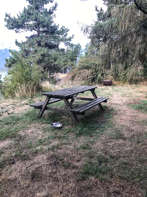 instarch 180830 3024 x 4032 8-bogenschiessen