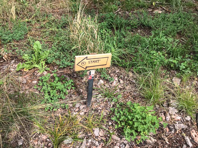 instarch 180830 4032 x 3024 11-bogenschiessen