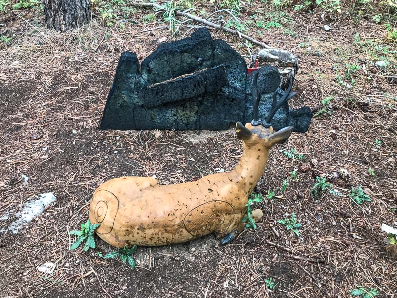 instarch 180830 4032 x 3024 14-bogenschiessen