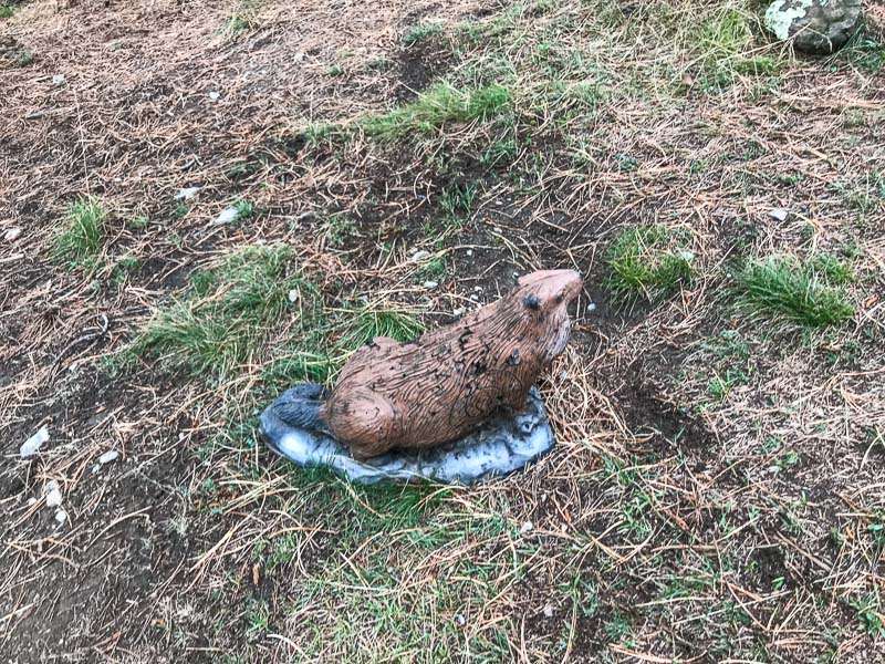 instarch 180830 4032 x 3024 15-bogenschiessen