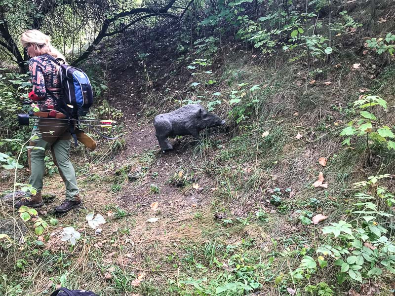 instarch 180830 4032 x 3024 16-bogenschiessen