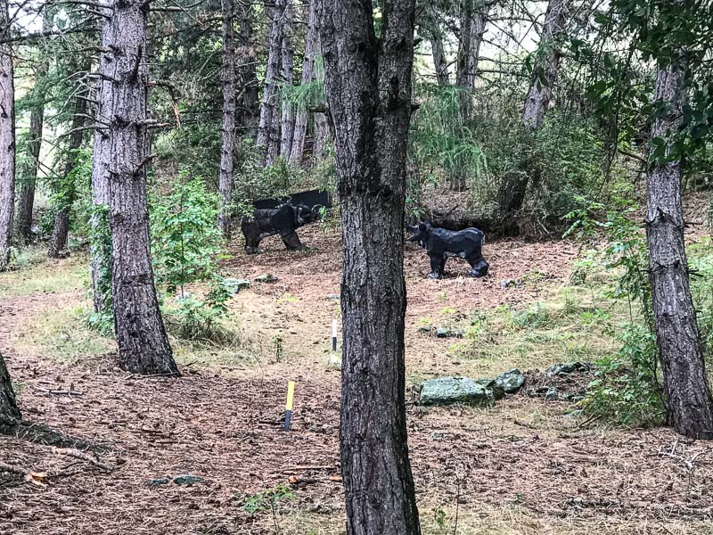 instarch 180830 4032 x 3024 17-bogenschiessen