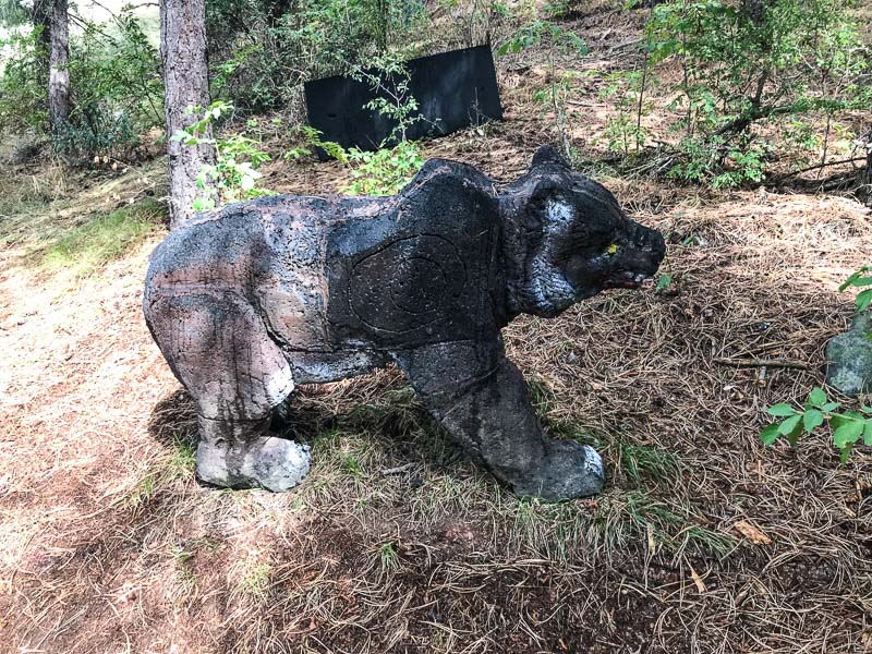 instarch 180830 4032 x 3024 18-bogenschiessen