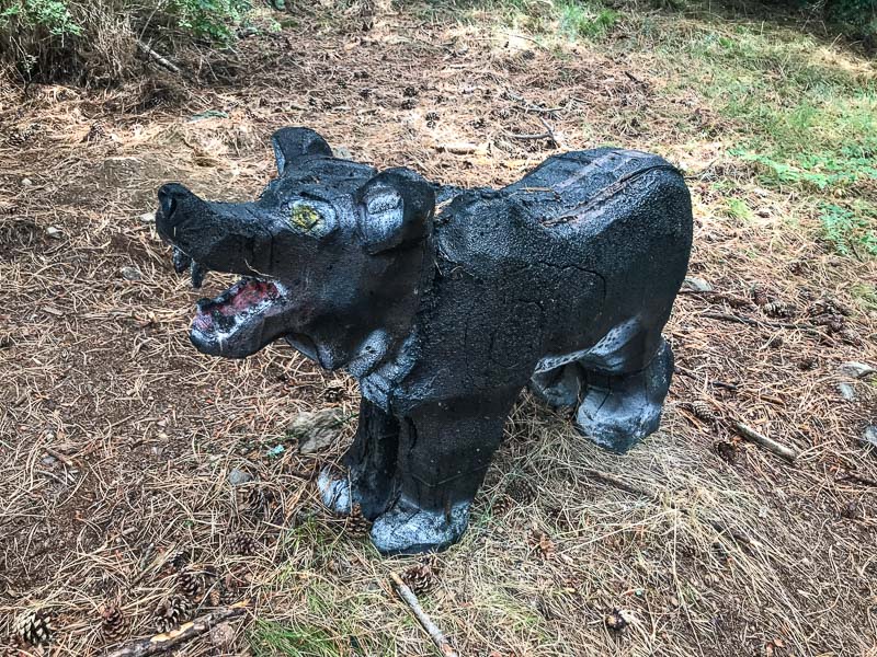 instarch 180830 4032 x 3024 19-bogenschiessen