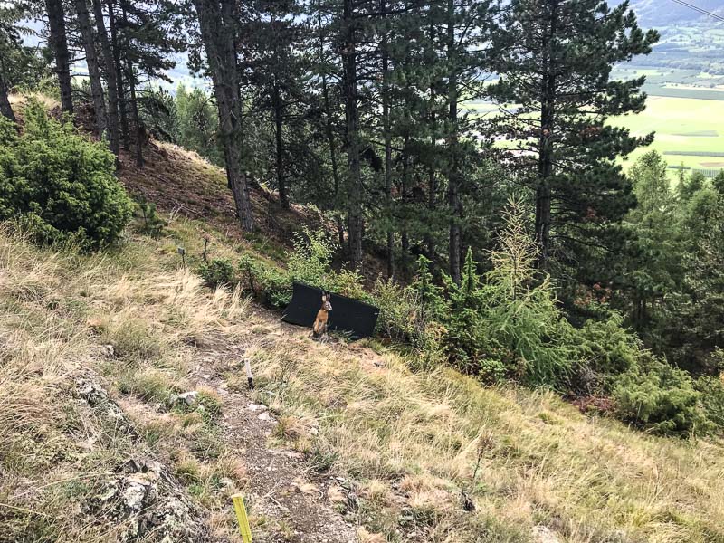 instarch 180830 4032 x 3024 20-bogenschiessen