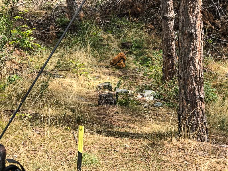 instarch 180830 4032 x 3024 21-bogenschiessen