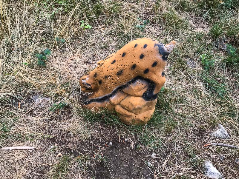 instarch 180830 4032 x 3024 22-bogenschiessen