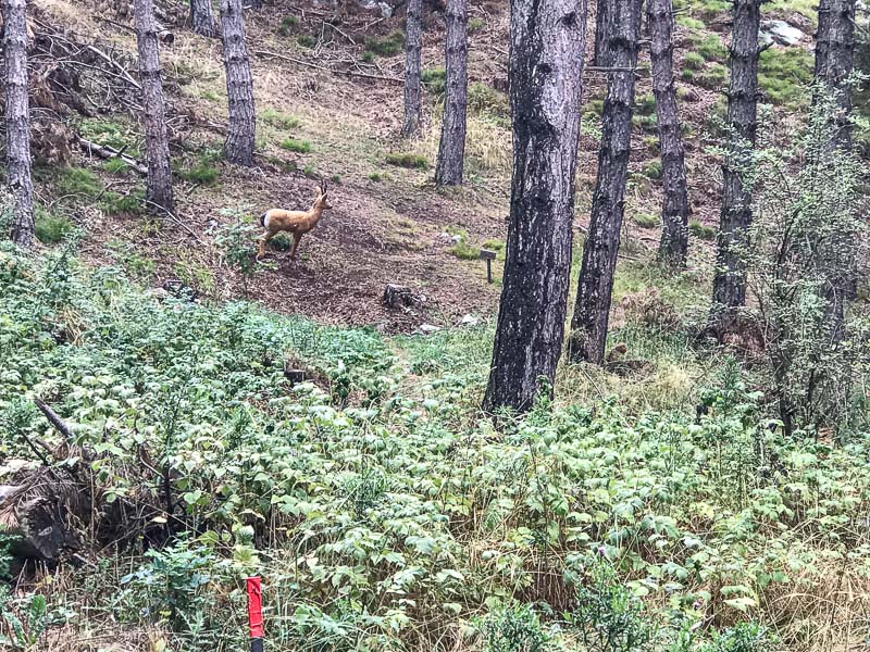 instarch 180830 4032 x 3024 24-bogenschiessen