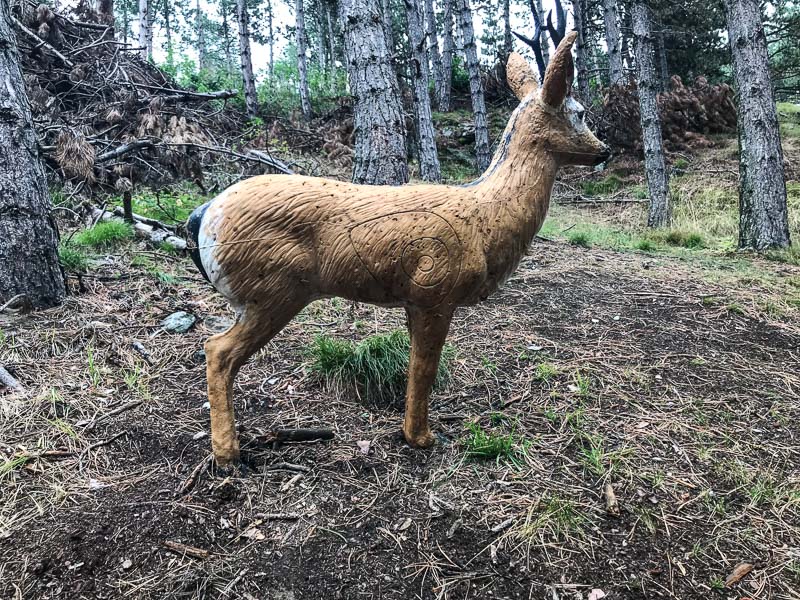 instarch 180830 4032 x 3024 25-bogenschiessen