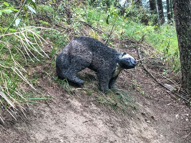 instarch 180830 4032 x 3024 26-bogenschiessen