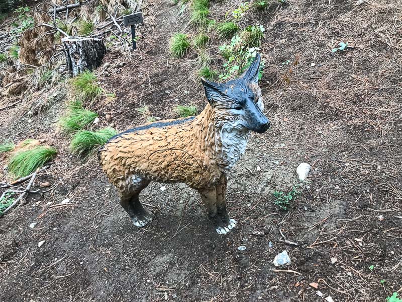 instarch 180830 4032 x 3024 27-bogenschiessen