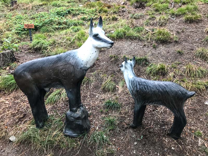 instarch 180830 4032 x 3024 29-bogenschiessen