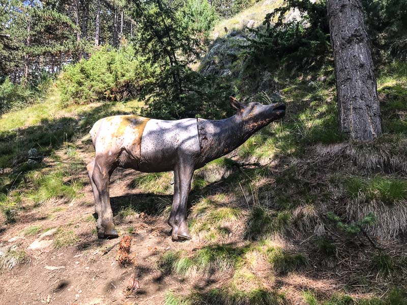 instarch 180830 4032 x 3024 34-bogenschiessen