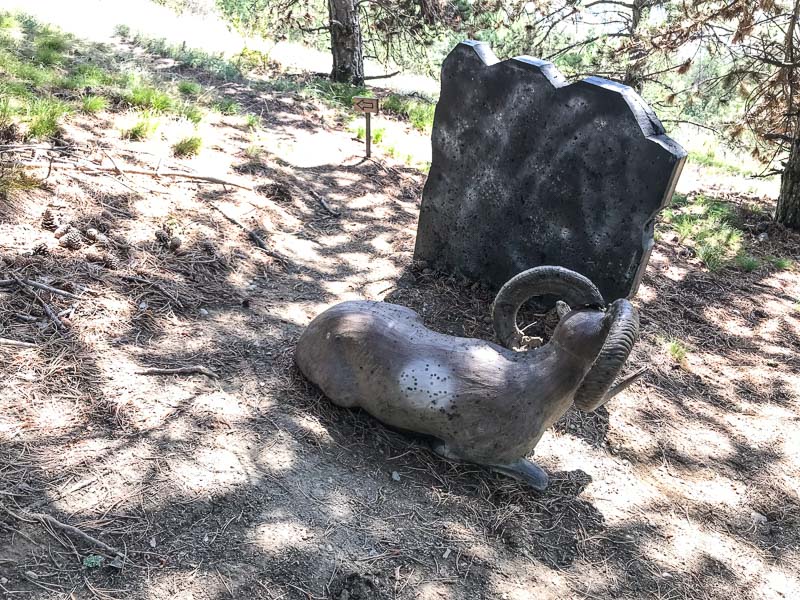 instarch 180830 4032 x 3024 36-bogenschiessen