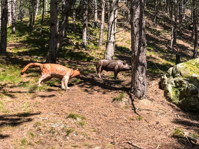 instarch 180830 4032 x 3024 38-bogenschiessen