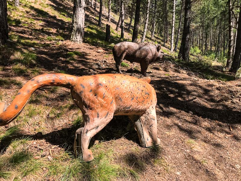 instarch 180830 4032 x 3024 39-bogenschiessen