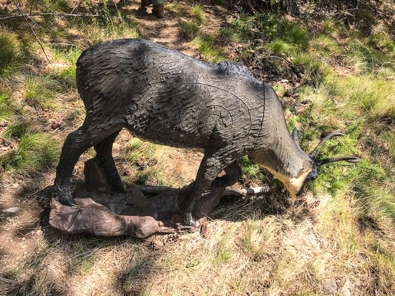 instarch 180830 4032 x 3024 41-bogenschiessen