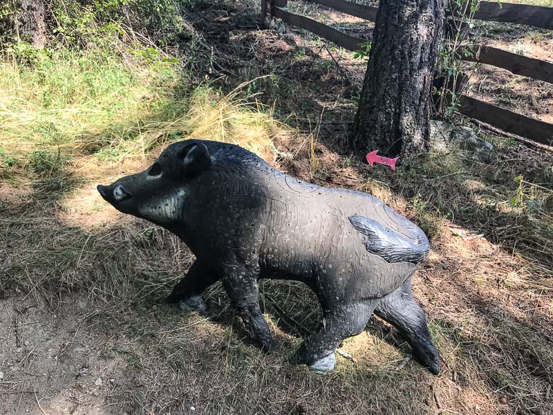 instarch 180830 4032 x 3024 44-bogenschiessen