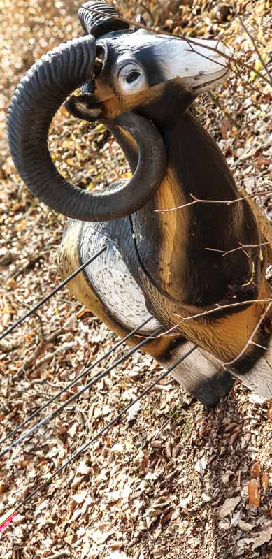 20190306 133037-bogenschiessen