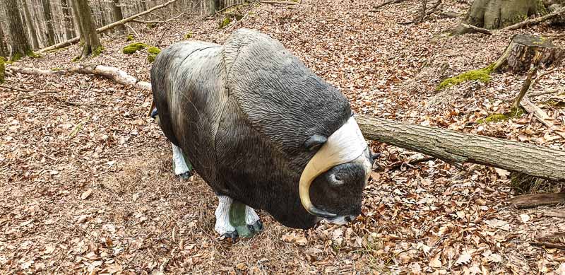 20190306 154437-bogenschiessen