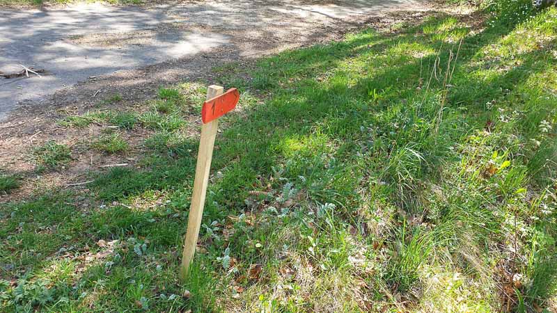 20190424 111144-bogenschiessen