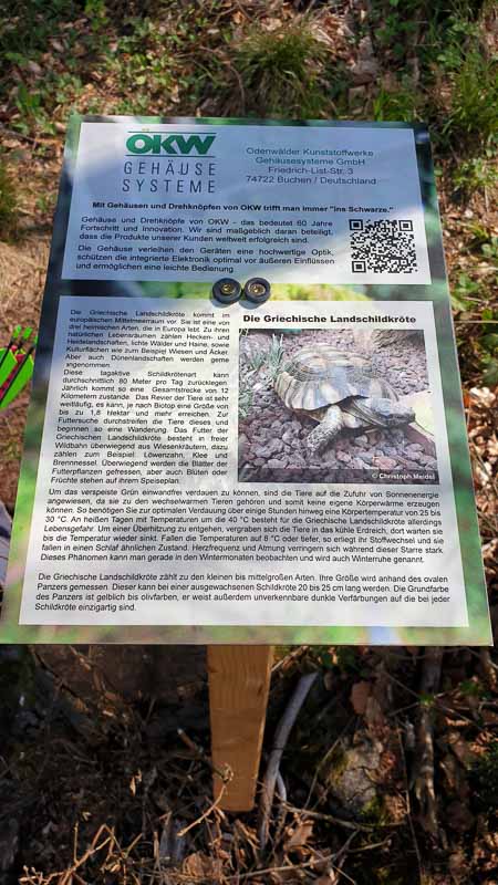 20190424 115010-bogenschiessen