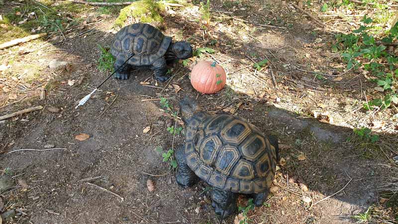 20190424 115402-bogenschiessen