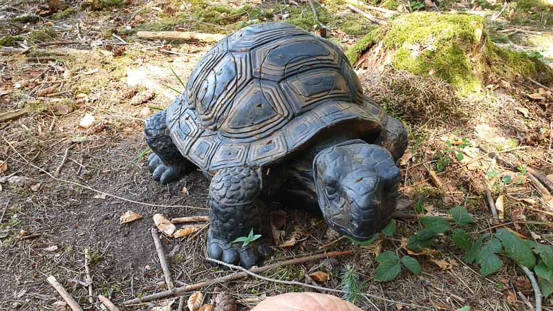 20190424 115531-bogenschiessen