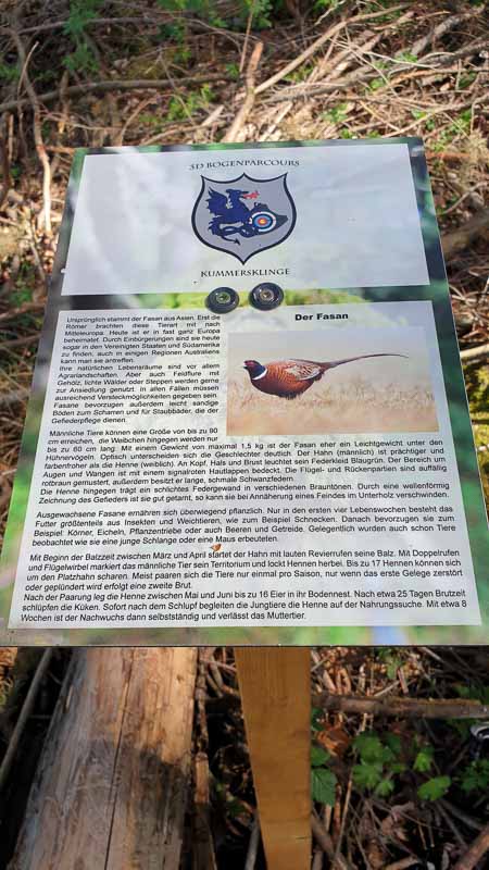 20190424 115719-bogenschiessen