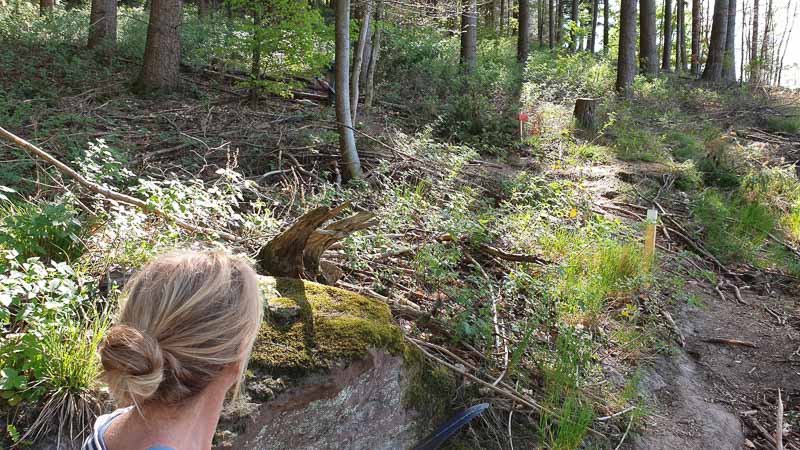 20190424 115726-bogenschiessen