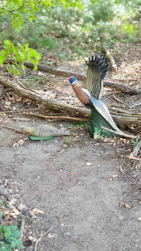 20190424 120243-bogenschiessen