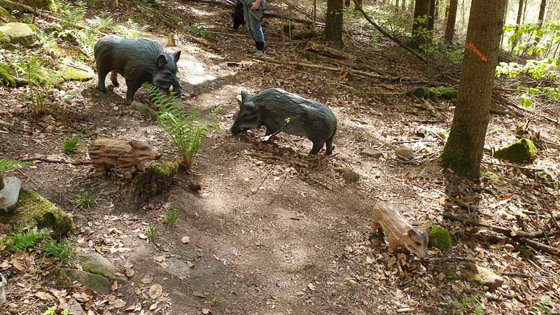 20190424 121944-bogenschiessen