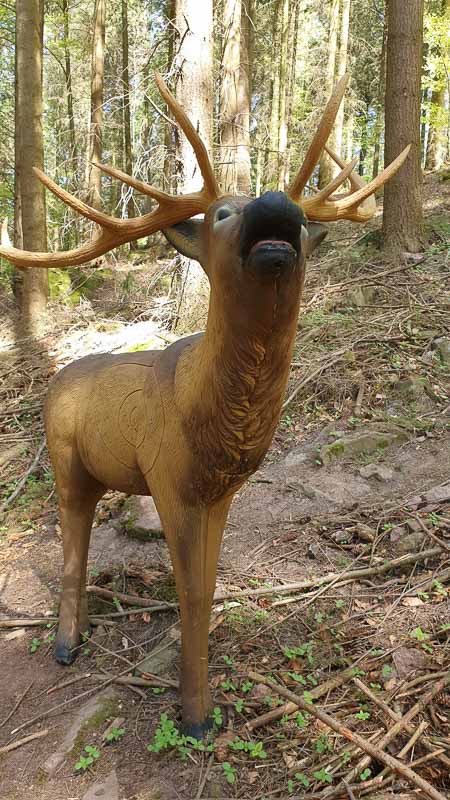 20190424 122954-bogenschiessen