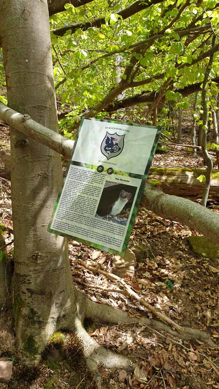 20190424 123440-bogenschiessen