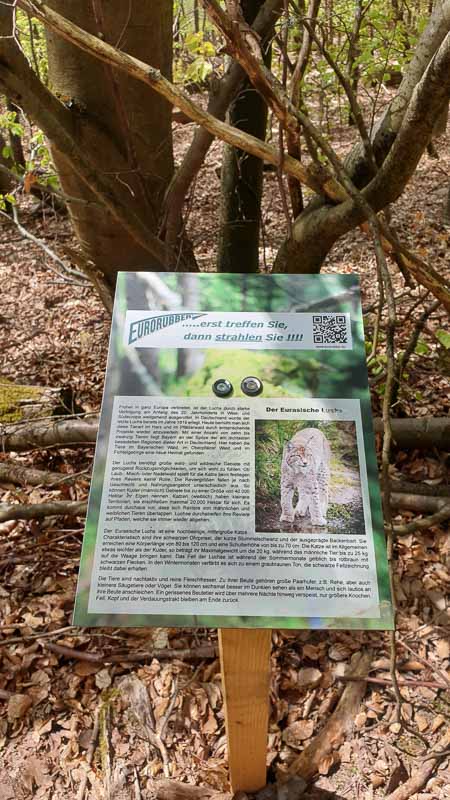 20190424 124336-bogenschiessen