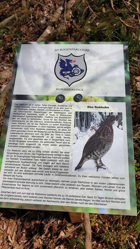 20190424 132338-bogenschiessen