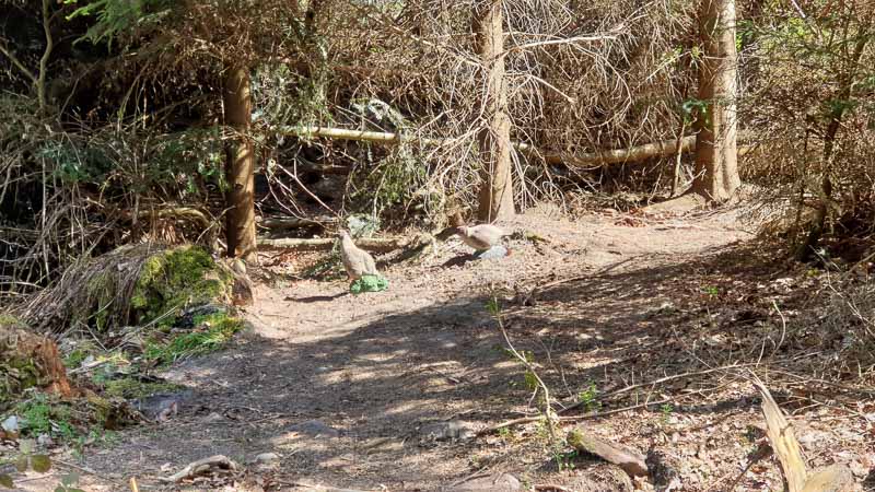 20190424 132349-bogenschiessen