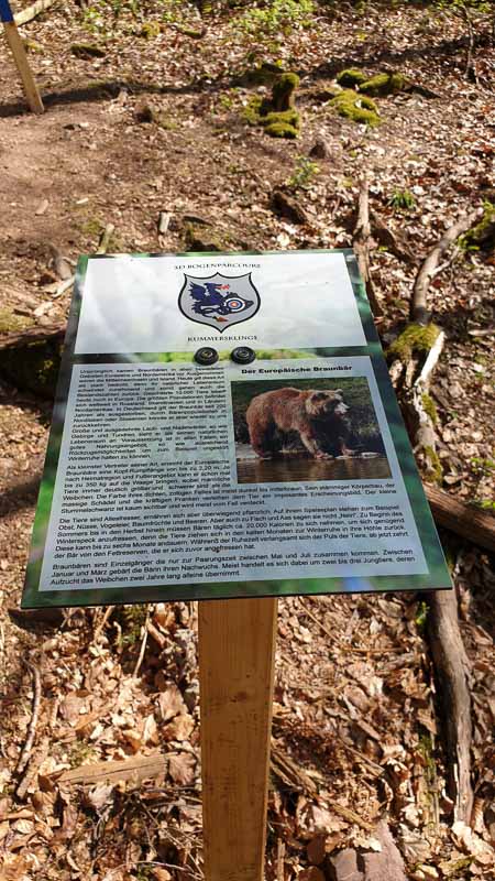 20190424 132833-bogenschiessen