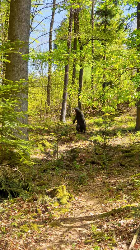 20190424 133353-bogenschiessen