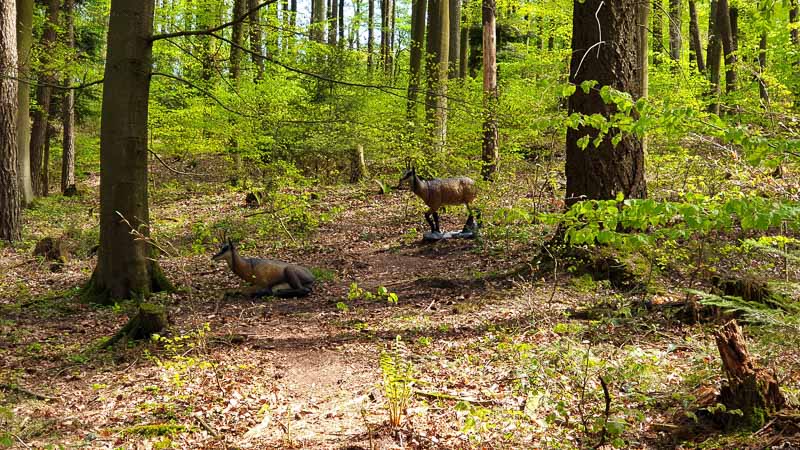 20190424 133750-bogenschiessen