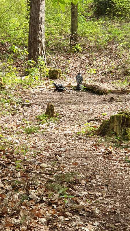 20190424 134125-bogenschiessen